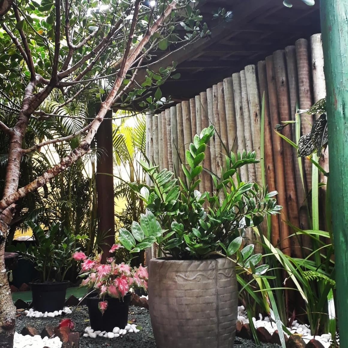 Pousada Corais Do Sul Caraíva المظهر الخارجي الصورة